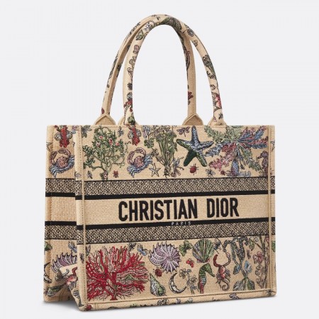 Dior Medium Book Tote Bag in Beige Raffia with Dior Cabinet de Curiosites