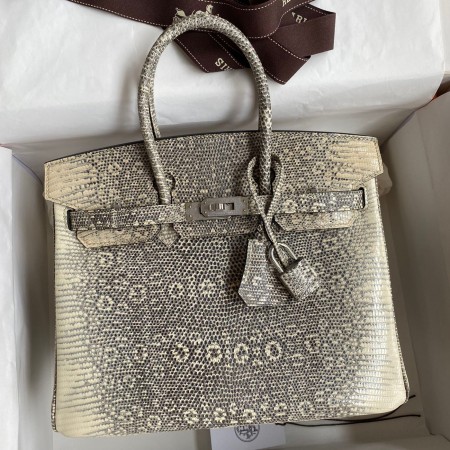Hermes Birkin 25 Retourne Handmade Bag In Ombre Lizard Leather