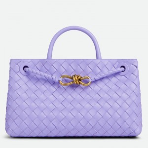 Bottega Veneta Andiamo Small East/West Bag in Lilas Intrecciato Lambskin