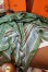 Hermes Green Tatouages Marins Bandana Shawl 140 