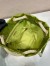 Prada Mariner Small Bucket Bag in Ivy Green Re-Nylon