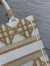 Dior Small Book Tote Bag in White and Gold Macrocannage Embroidery 