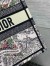 Dior Medium Book Tote Bag in Multicolor Dior Around the World Embroidery
