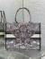 Dior Medium Book Tote Bag in Multicolor Dior Around the World Embroidery
