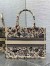 Dior Medium Book Tote Bag in Beige Raffia with Dior Cabinet de Curiosites