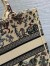 Dior Medium Book Tote Bag in Beige Raffia with Dior Cabinet de Curiosites