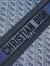 Dior Medium Book Tote Bag in Blue Denim Oblique Jacquard 