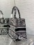 Dior Medium Book Tote Bag In Black Plan de Paris Embroidery 