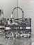 Dior Medium Book Tote Bag In White Plan de Paris Embroidery 