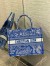 Dior Medium Book Tote Bag In Fluorescent Blue Toile de Jouy Reverse Embroidery