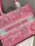Dior Medium Book Tote Bag In Pink Transparent Toile de Jouy Canvas
