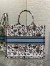 Dior Large Book Tote Bag in Multicolor Cabinet de Curiosites Embroidery 