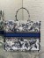 Dior Large Book Tote Bag in Denim Blue Dior Chardons Embroidery