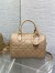 Dior Groove 25 Bag in Biscuit Macrocannage Calfskin