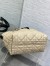 Dior Toujours Medium Bag in Beige and Black Macrocannage Calfskin