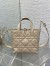 Dior Toujours Vertical Small Tote Bag in Beige Macrocannage Calfskin