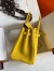 Hermes Birkin 25 Retourne Handmade Bag In Jaune de Naples Clemence Leather