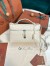 Loro Piana Extra Bag L27 in White Ostrich Embossed Leather
