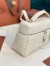 Loro Piana Extra Bag L27 in White Ostrich Embossed Leather