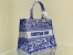 Dior Medium Book Tote Bag In Blue Transparent Toile de Jouy Canvas