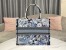 Dior Medium Book Tote In Blue Zodiac Fantastico Embroidery