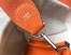 Hermes Evelyne III 29 PM Bag In Orange Clemence Leather