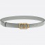 Dior Saddle 20MM Belt In Grey Calfskin
