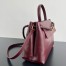 Bottega Veneta Ciao Ciao Medium Bag in Barolo Calfskin