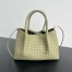 Bottega Veneta Pinacoteca Small Bag in Travertine Intrecciato Calfskin
