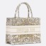 Dior Medium Book Tote Bag in Gold-Tone Dior Around the World Embroidery 