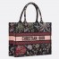 Dior Medium Book Tote Bag in Black Raffia with Dior Cabinet de Curiosites