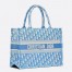 Dior Small Book Tote In Cornflower Blue Dior Oblique Embroidery