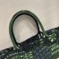 Dior Book Tote Dior Bag In Green Animals Embroidered Canvas 