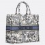 Dior Large Book Tote Bag in Denim Blue Dior Chardons Embroidery