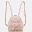 Dior Caro Small Backpack in Pink Macrocannage Lambskin