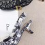 Dior Sweet-D High-heeled Pump In Toile De Jouy Canvas