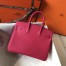 Hermes Birkin 25cm Bag In Rose Red Clemence Leather