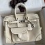 Hermes Birkin Cargo 25 Bag in Craie Toile and Swift Leather