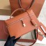 Loro Piana Extra Bag L27 in Orange Smooth Calfskin